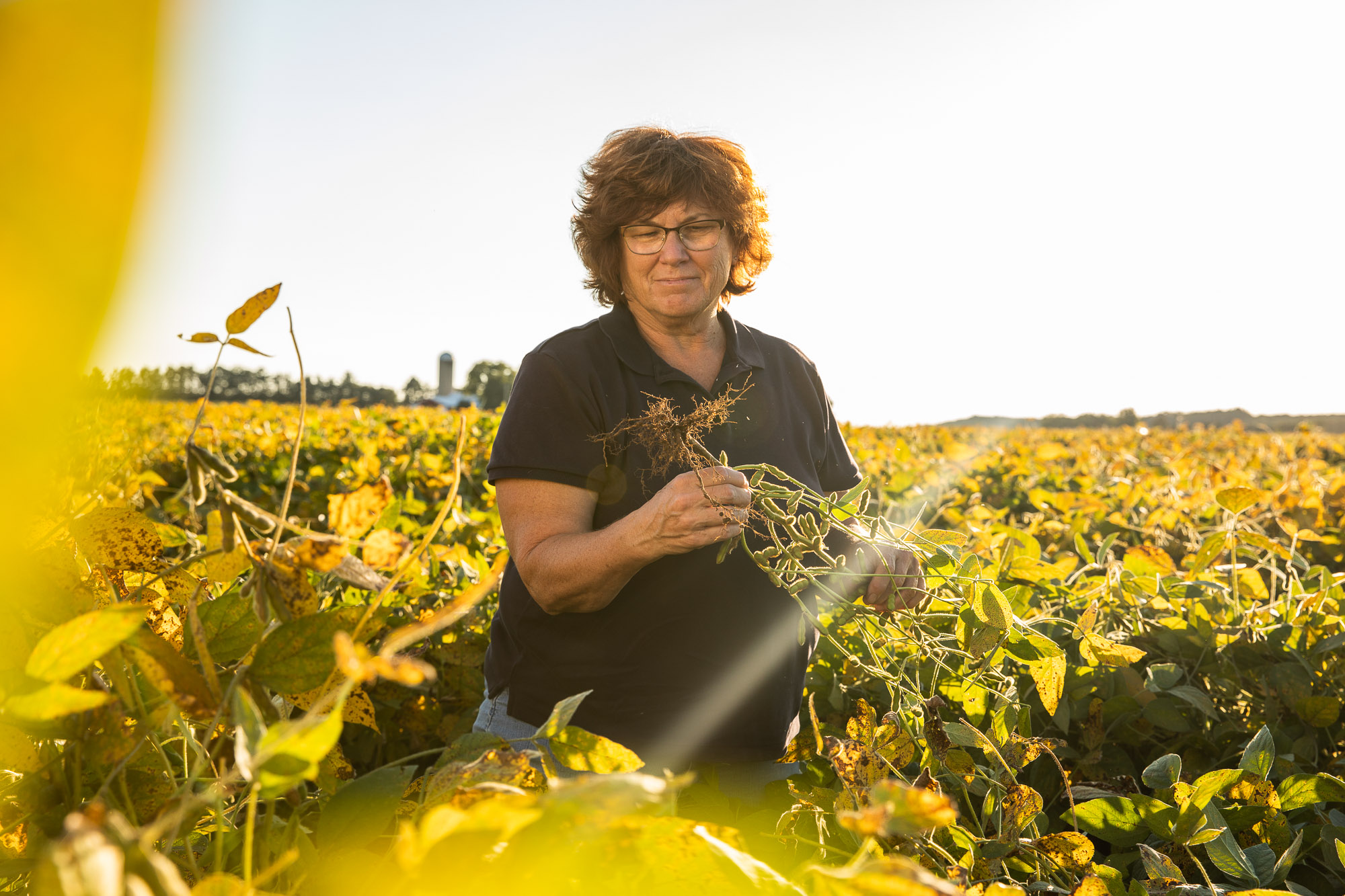 farmer in field soybean checkoff